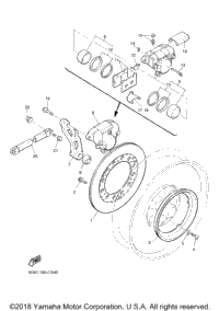 Rear Brake