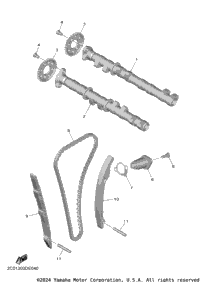 Camshaft & Chain