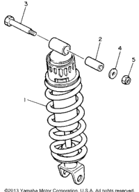 Rear Shocks