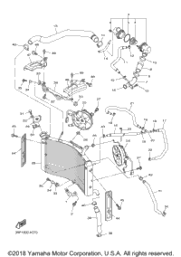 Radiator Hose