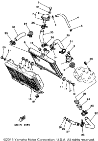 Radiator Hose