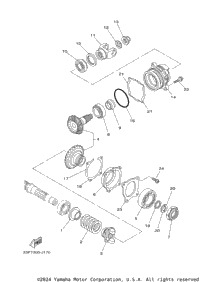 Middle Drive Gear