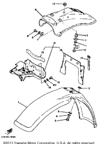 Fender