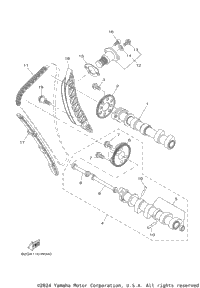 Camshaft & Chain