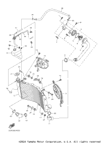 Radiator Hose