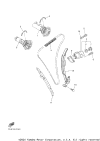 Camshaft Chain