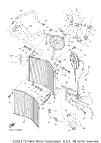 Radiator & Hose
