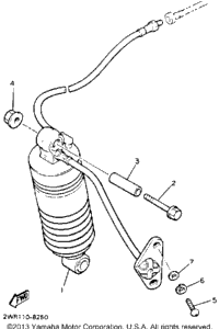 Rear Shocks