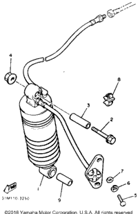 Rear Shocks