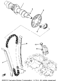 Camshaft Chain