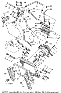 Radiator Hose
