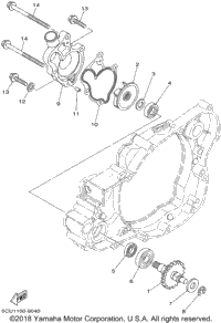 Water Pump