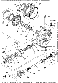 Drive Shaft