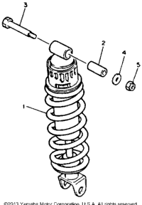 Rear Shocks