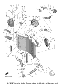 Radiator Hose