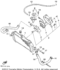 Radiator Hose