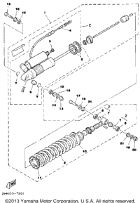Rear Shocks