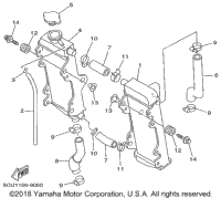 Radiator Hose