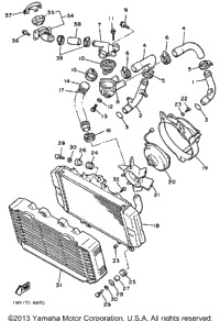Radiator Hose