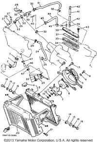 Radiator Hose