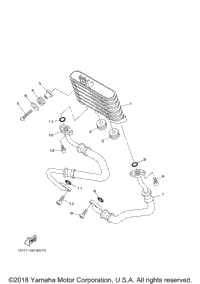 Oil Cooler