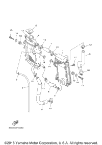 Radiator Hose