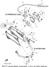 Radiator Hose