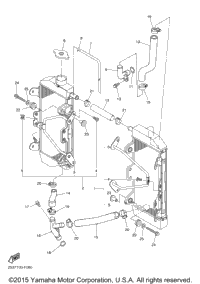 Radiator Hose