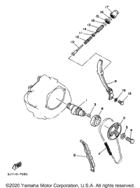 Camshaft Chain