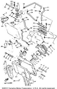 Radiator Hose