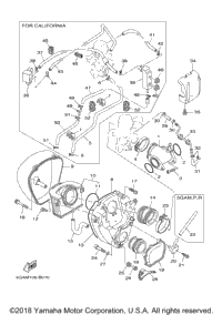 Intake