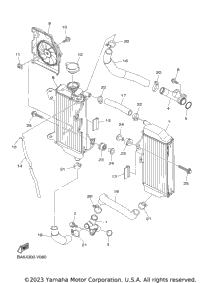 Radiator & Hose