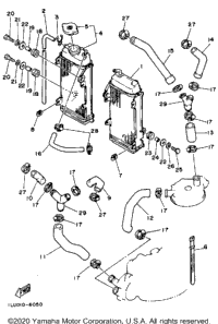 Radiator Hose