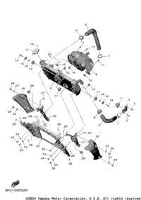 Radiator & Hose