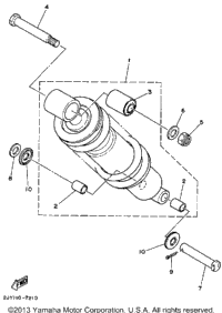 Rear Shocks