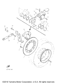 Rear Brake