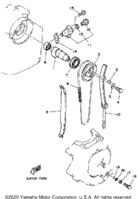 Camshaft Chain