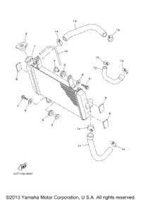 Radiator. Hose
