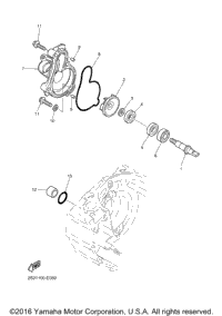 Water Pump