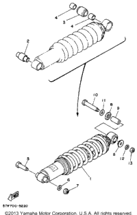 Rear Shocks
