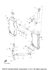 Radiator Hose