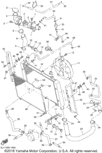 Radiator Hose