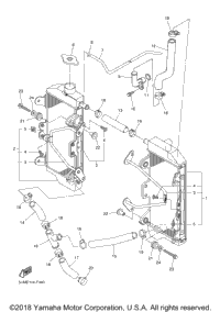 Radiator Hose