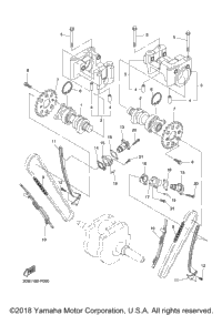 Camshaft Chain