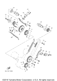 Camshaft Chain
