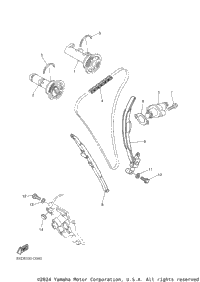 Camshaft & Chain