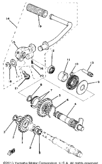 Kick Starter Dt100g