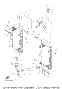 Radiator Hose