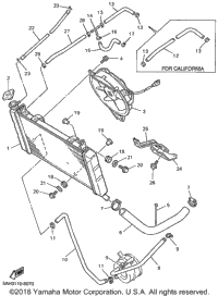 Radiator Hose