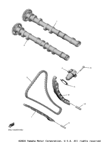 Camshaft & Chain